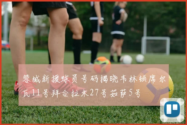 蓉城新援球员号码揭晓韦林顿席尔瓦11号拜合拉木27号茹萨5号