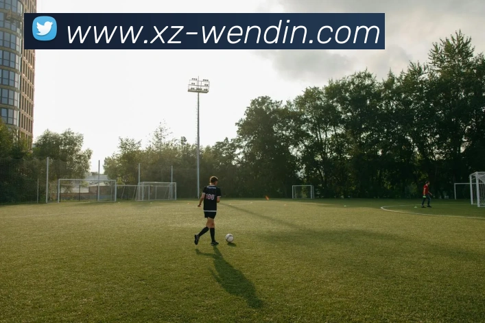 数据防护可视化